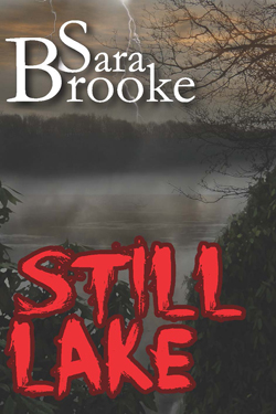 Still Lake cover art